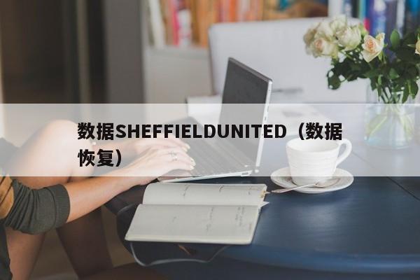 数据SHEFFIELDUNITED(数据恢复)