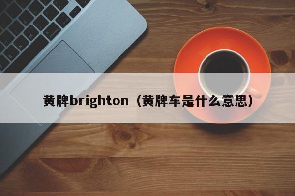 黄牌brighton(黄牌车是什么意思)